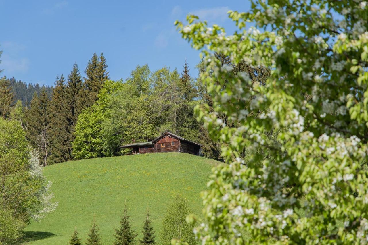 Landhotel Hinteraigengut Flachau Exterior photo
